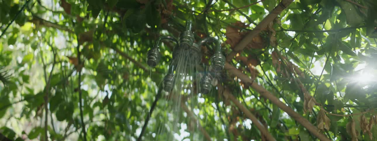 An outdoor shower is hooked up to tall trees