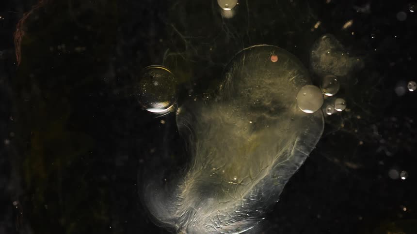 A view of bubbles in liquid water is displayed