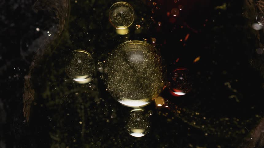 Light shines on clear globes filled with moving glitter as they float in an organic universe