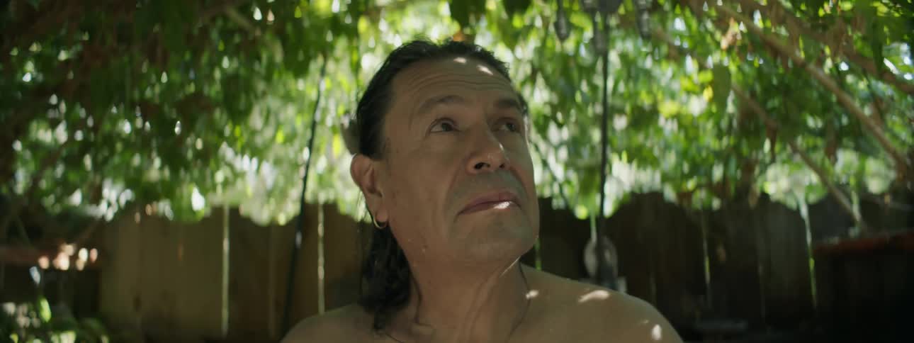Man with long ponytail and earrings looks up at trees in front of fences in the garden