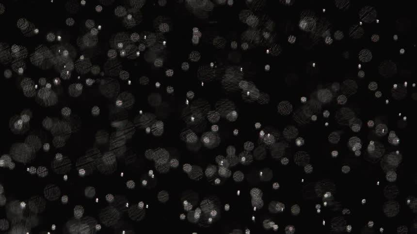 Pinpoints of light are floating around in the darkness