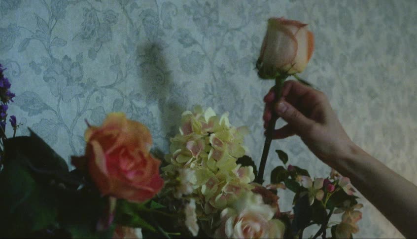 Person inserts long stem rose into flower arrangement sitting near wallpapered wall