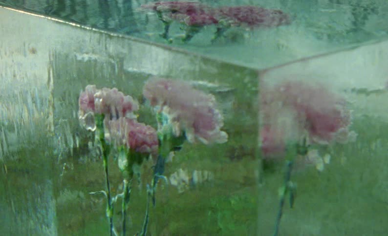 Large ice cube containing pink flowers shows glimpses of ground and snow and reflects surrounding trees