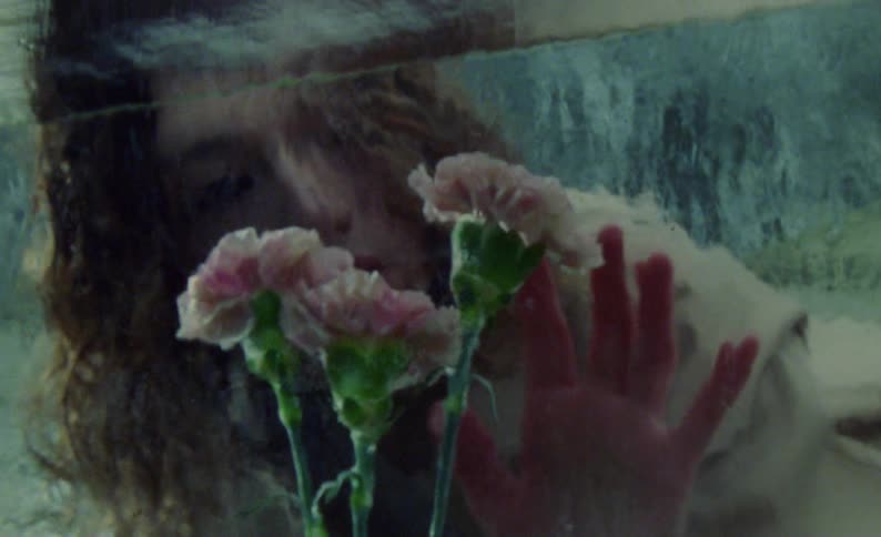 beautiful woman and flowers in ice.