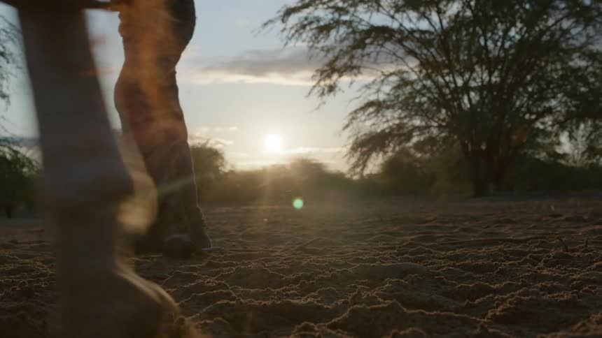 A man is holding a rope as a horse walks by and the sun is shining brightly in the distance