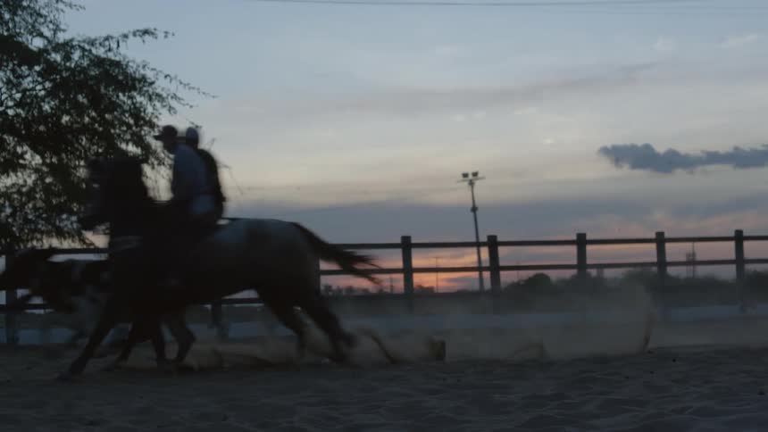 A man is riding his horse and another runs alongside as the sun is setting over the water in the distance