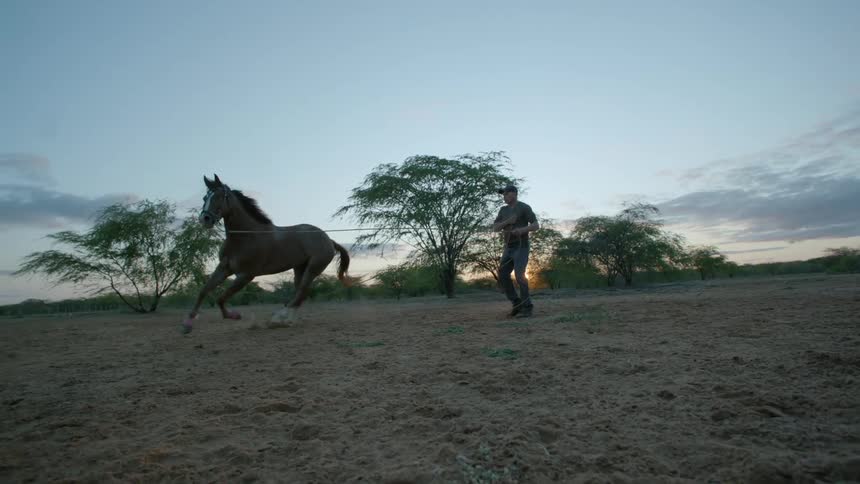 A man is holding rope in his hands and walking his horse around him in a circle