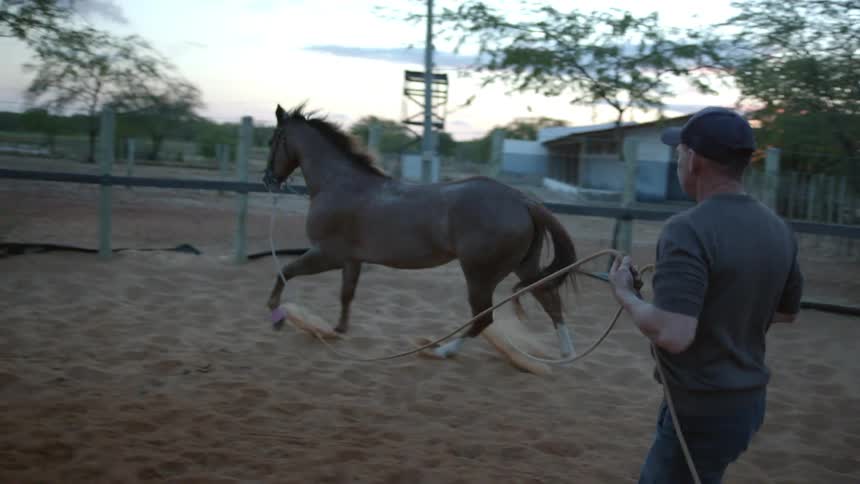 A man is holding rope in his hands and walking his horse in a fenced in area