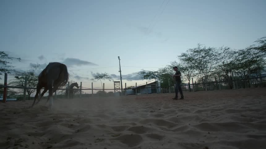 A man is holding rope in his hands and walking his horse around him in a circle as another horse stands watching