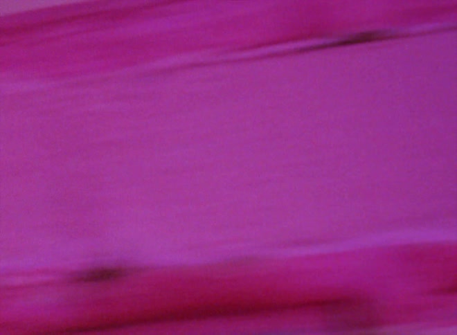 Outdoor footage as a vehicle drives past