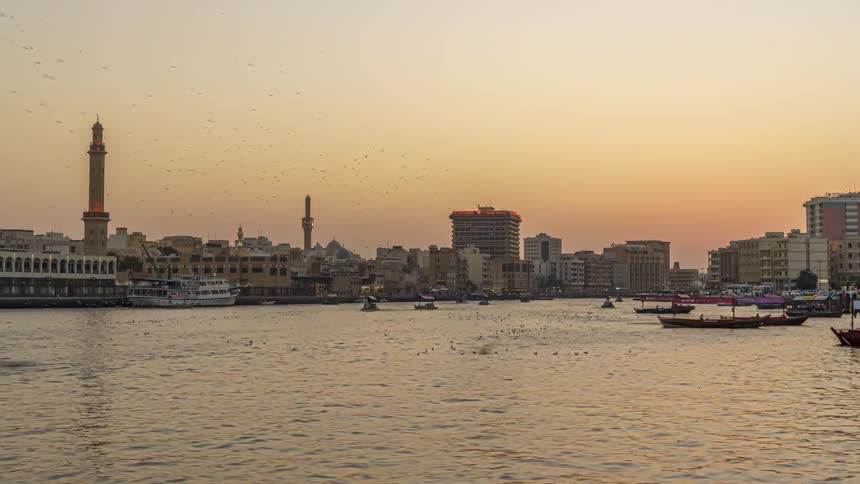 Coastal city with boats floating and seagulls flying over sea at dusk