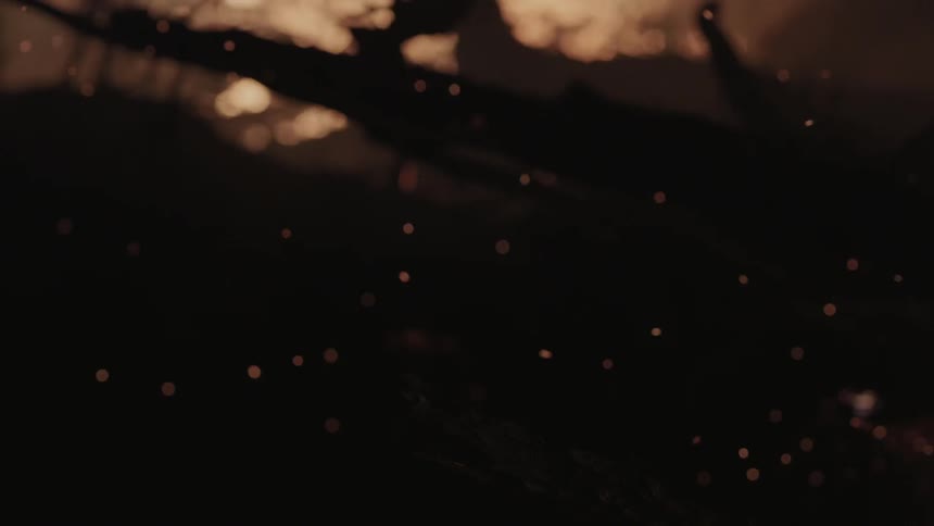 Burning embers swirling in the air next to burning tree branches
