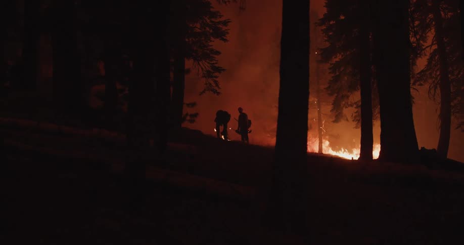Two silhouetted people near a forest fire at night