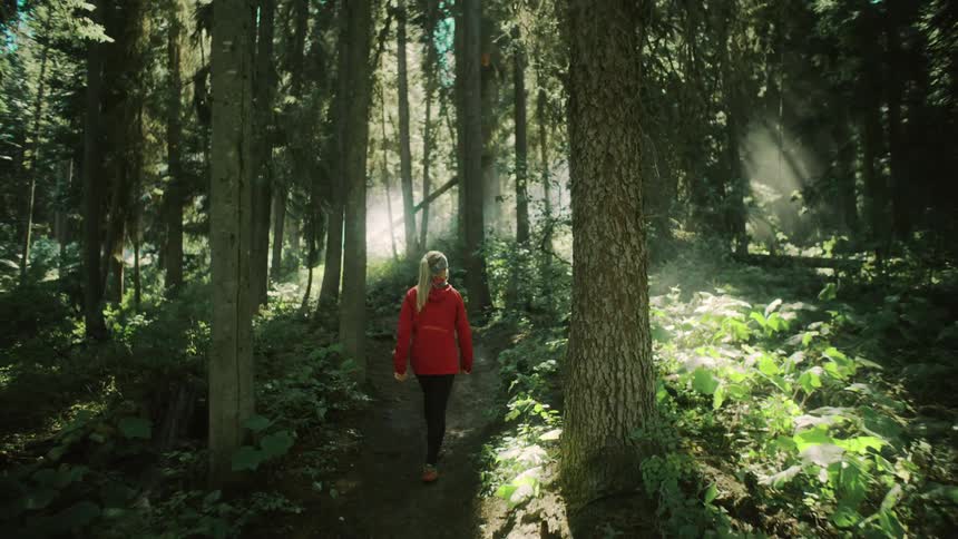 A woman is hiking through the forest