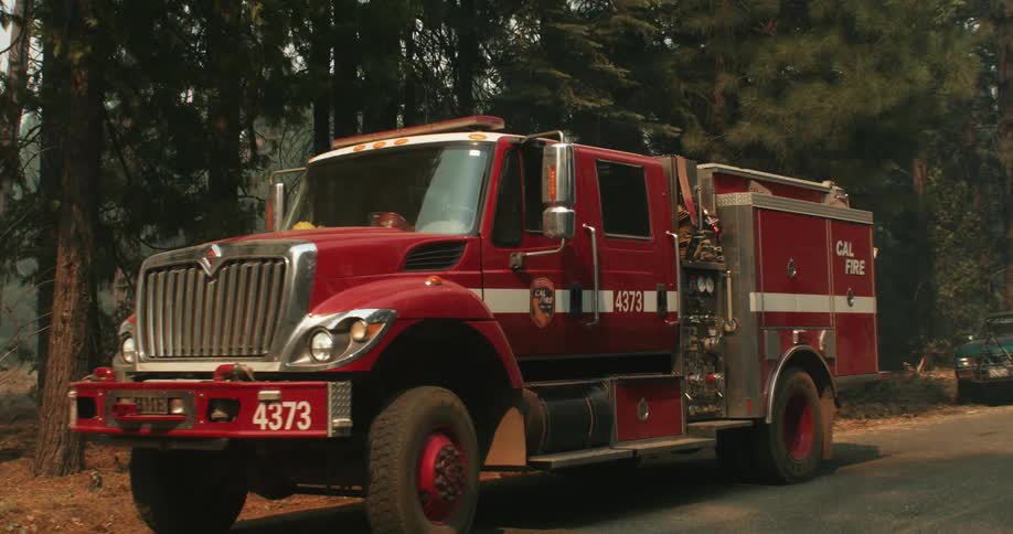 Parked fire truck at the side of the forest road