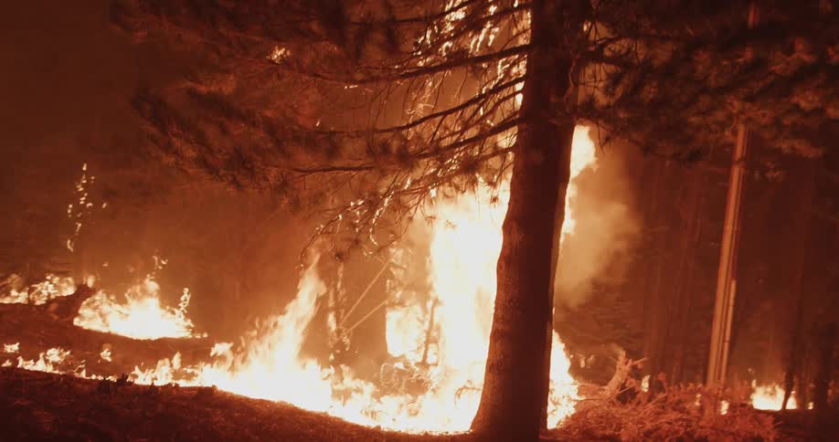 The forest fire is raging