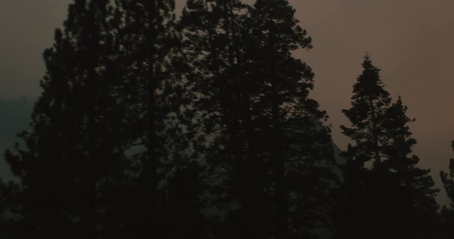 Silhouette of pine trees in front of a wildfire burning the forest in the mountains at night