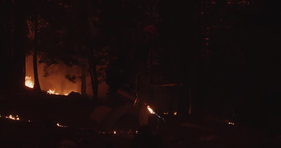 A worker is performing a prescribed fire trailing flame through the forest