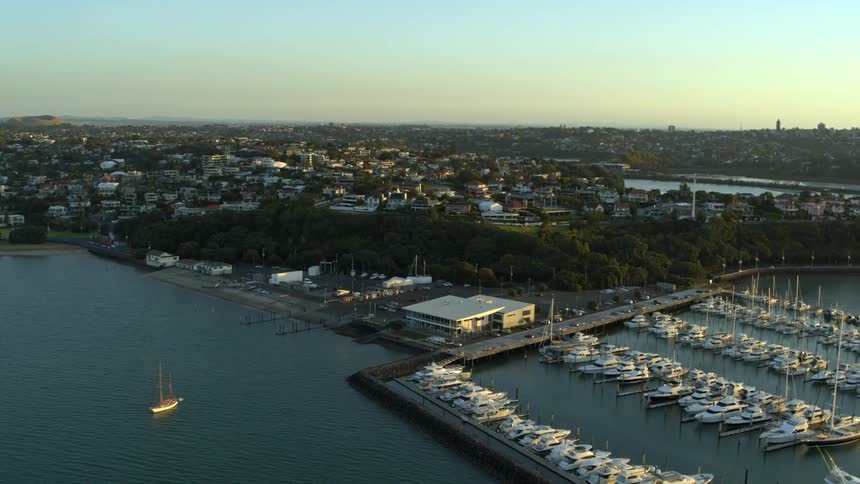 A marina on the coast of a city during the day