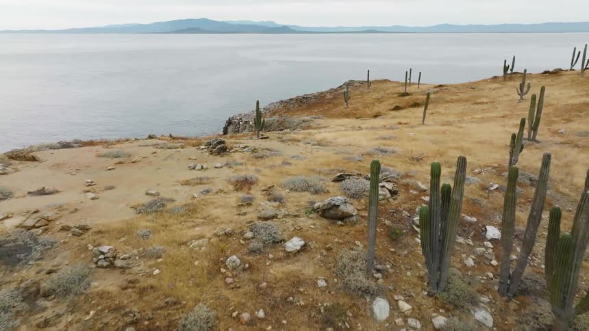 Aerial view of a desert area near the coast is displayed