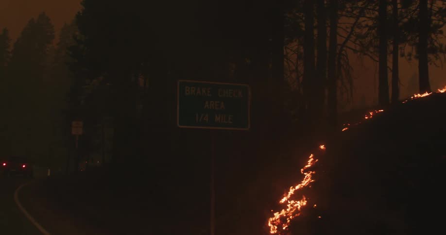 Flames travel up a forest hill as a truck drives past