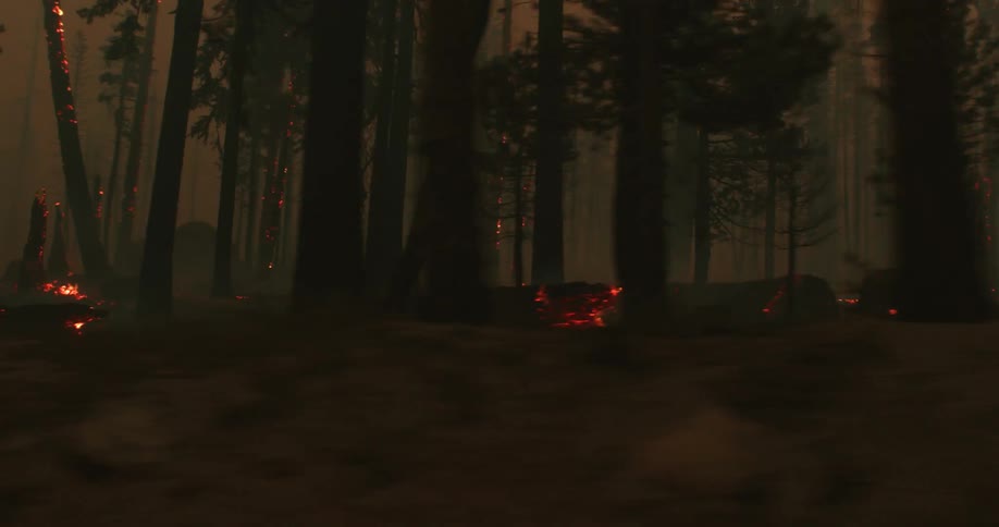 Trees are burning as flames and embers glow in the smoke filled forest