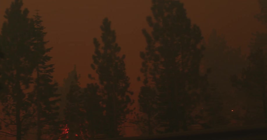 Aerial view of wildfire burning and spreading at night in the woods