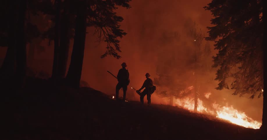 Firefighters are silhouetted against the wildfire in the forest at night