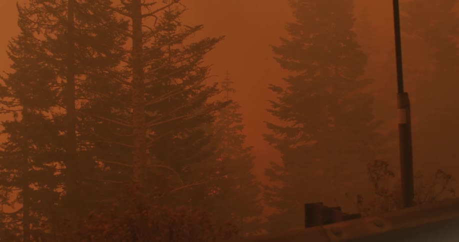 A smoke filled forest with flames rising in to the air