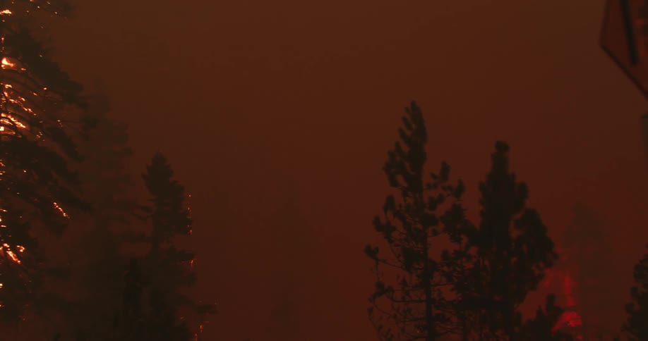 A fire is brewing in a forest area at night
