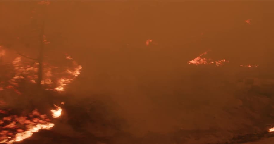 A forest is on fire during the night time