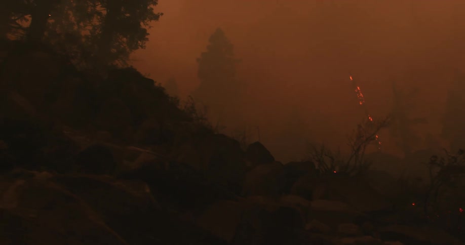 A smoke filled forest with flames still burning