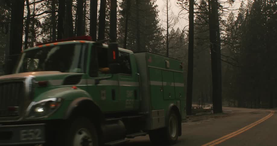 A truck is driving down the road in the forest area at day time