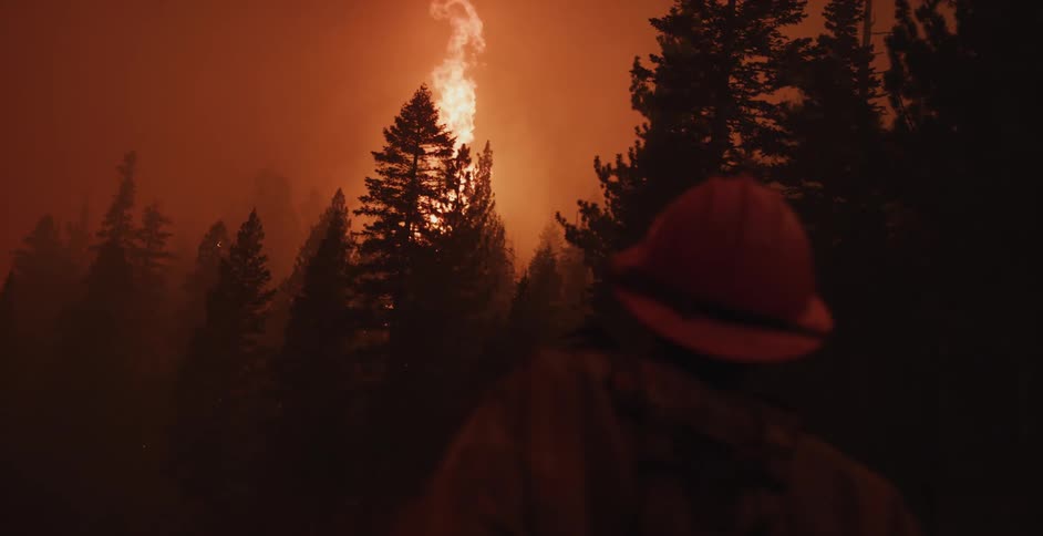 Firefighter looking up to the flames of a wildfire over the pine trees in the forest at night