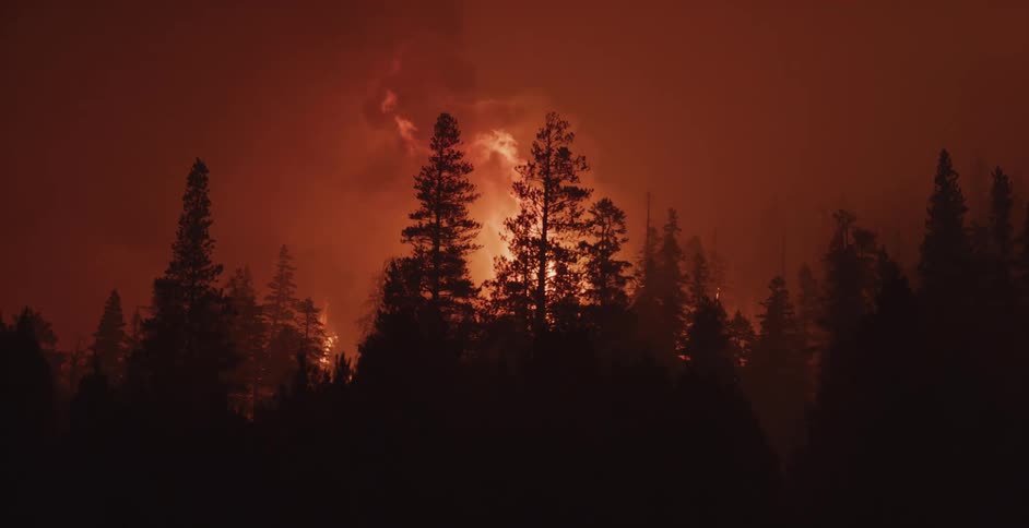 Flames rising above trees during a forest fire