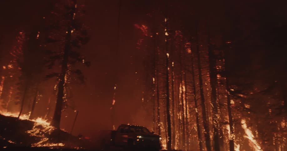 Trees and a truck being consumed by flames during a forest fire