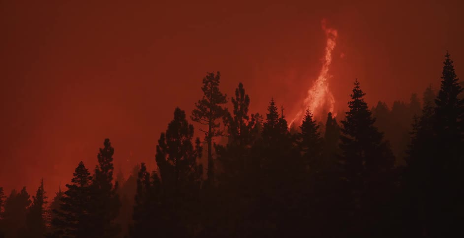 Flames and smoke from a forest wildfire turn the night sky orange