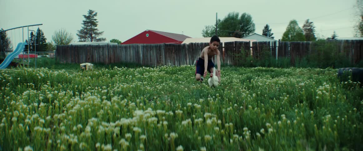 A young shirtless boy chasing a chicken through weeds on a farm