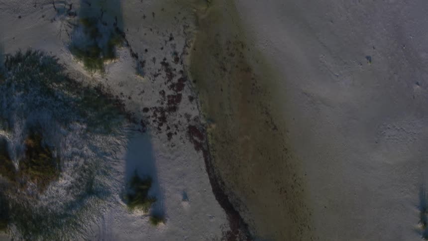 Trees casting shadows over a snow-covered landscape