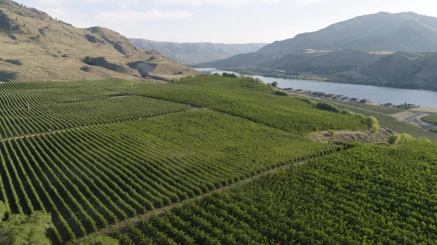 High overview of an organic cherry orchard nestled within a beautiful river valley