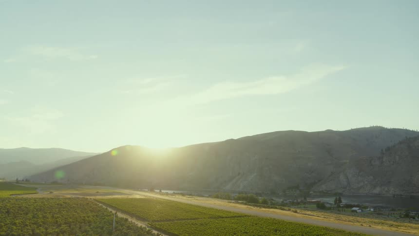 The sun shines brightly upon a orchard from over mountains in the distance