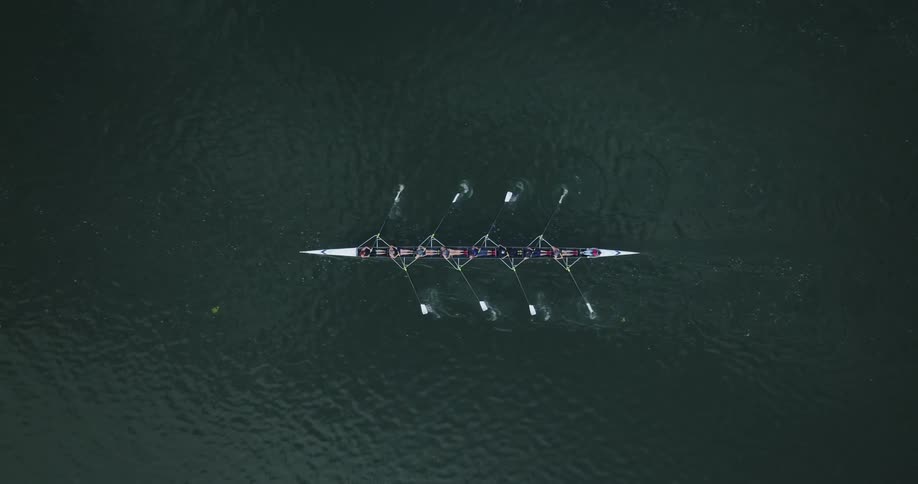 A crew rows a rowing boat through the water