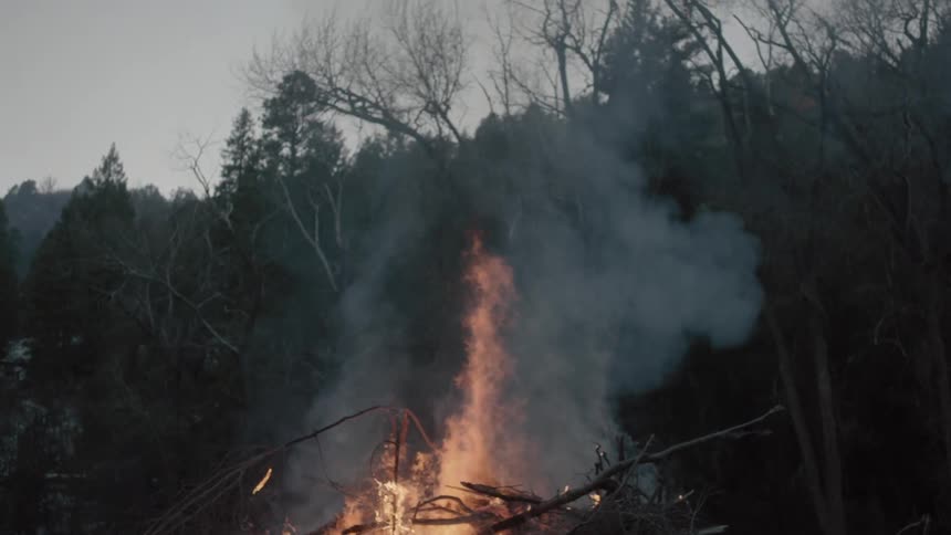 A fire burns near a forest