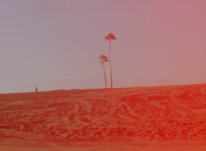 A beach with two palm trees on the hill and somebody is riding a bike toward the trees