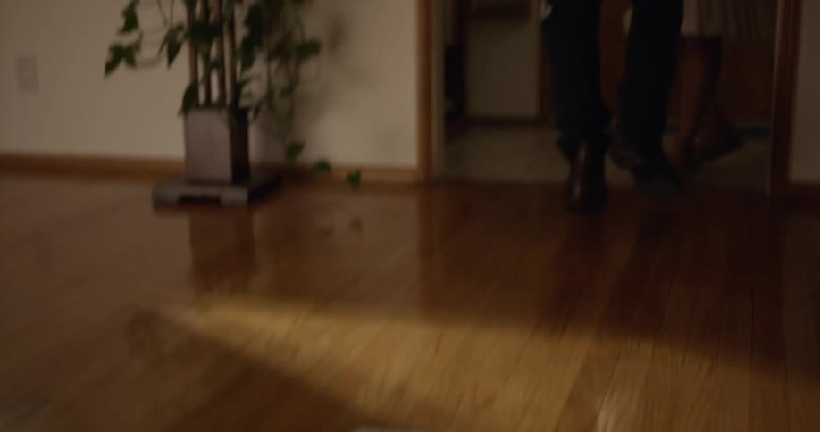 Couple walk into home then man drops file on floor before moving close to woman