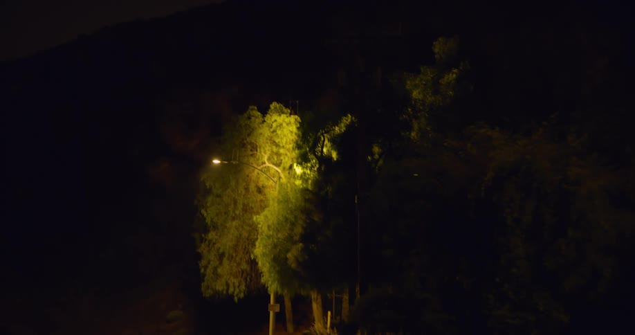 Street lights shine over an empty solitary road at night