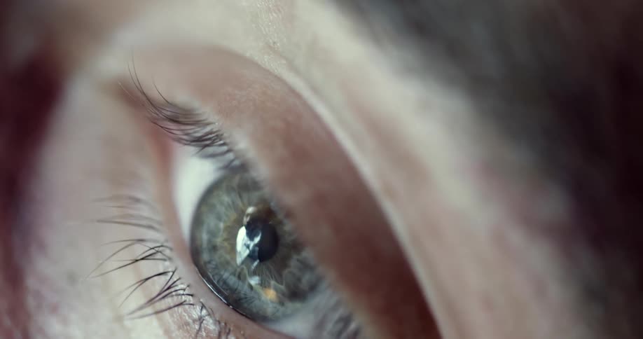Close up of the iris of an eye contracting under a bright light