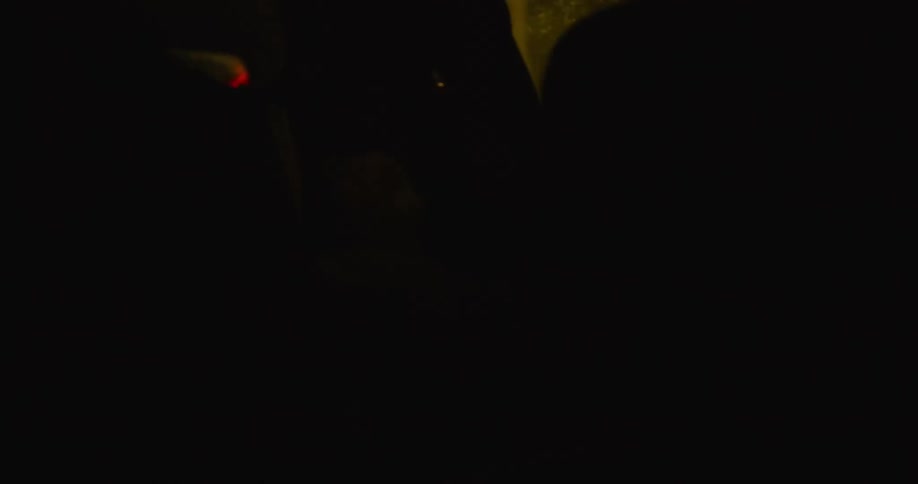 Teddy bear sitting on a baby chair inside a car driving at night