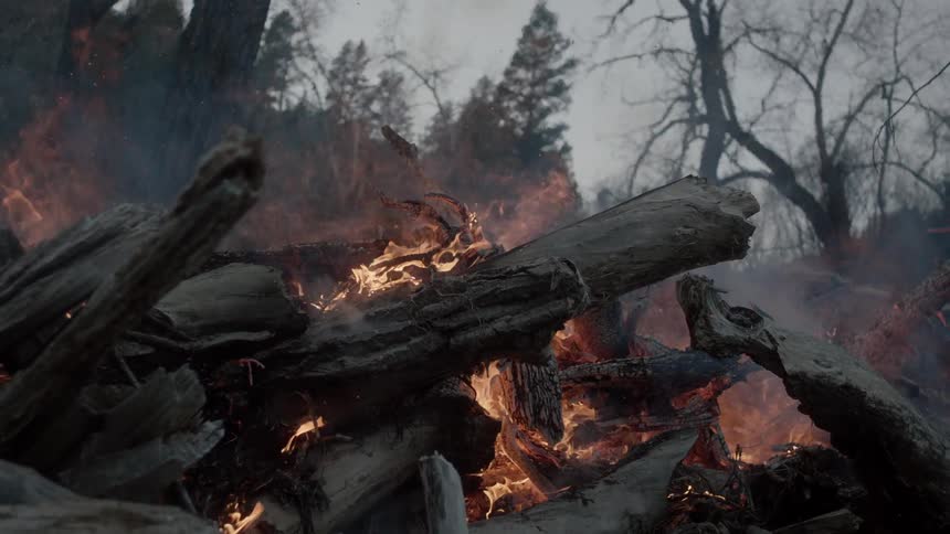 The logs are burning on a cloudy day