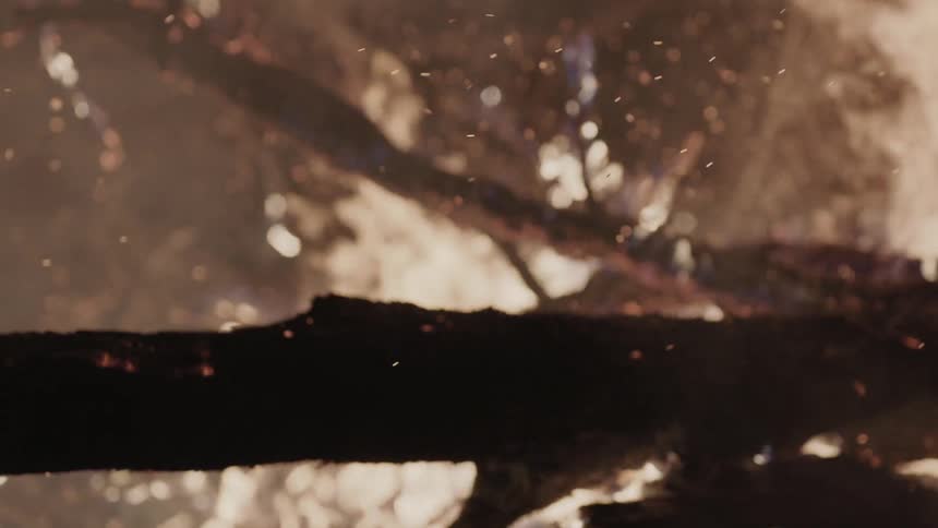 Sparks rising into the air as tree branches burn